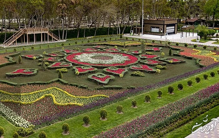 تصاویر زیباترین فرشهای گل جهان | راهکار بروکسل برای پهن کردن یک فرش گل زیبا | وجه تمایز فرش گل محلات و فرش گل کرج را ببینید